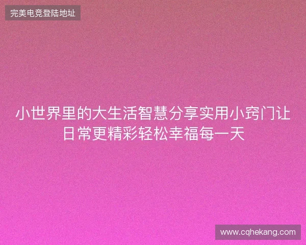小世界里的大生活智慧分享实用小窍门让日常更精彩轻松幸福每一天